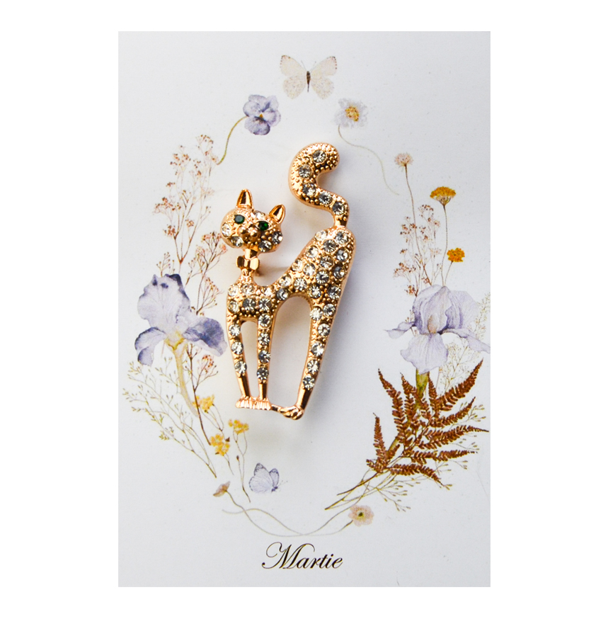 Brosa Pisica cu Pietricele