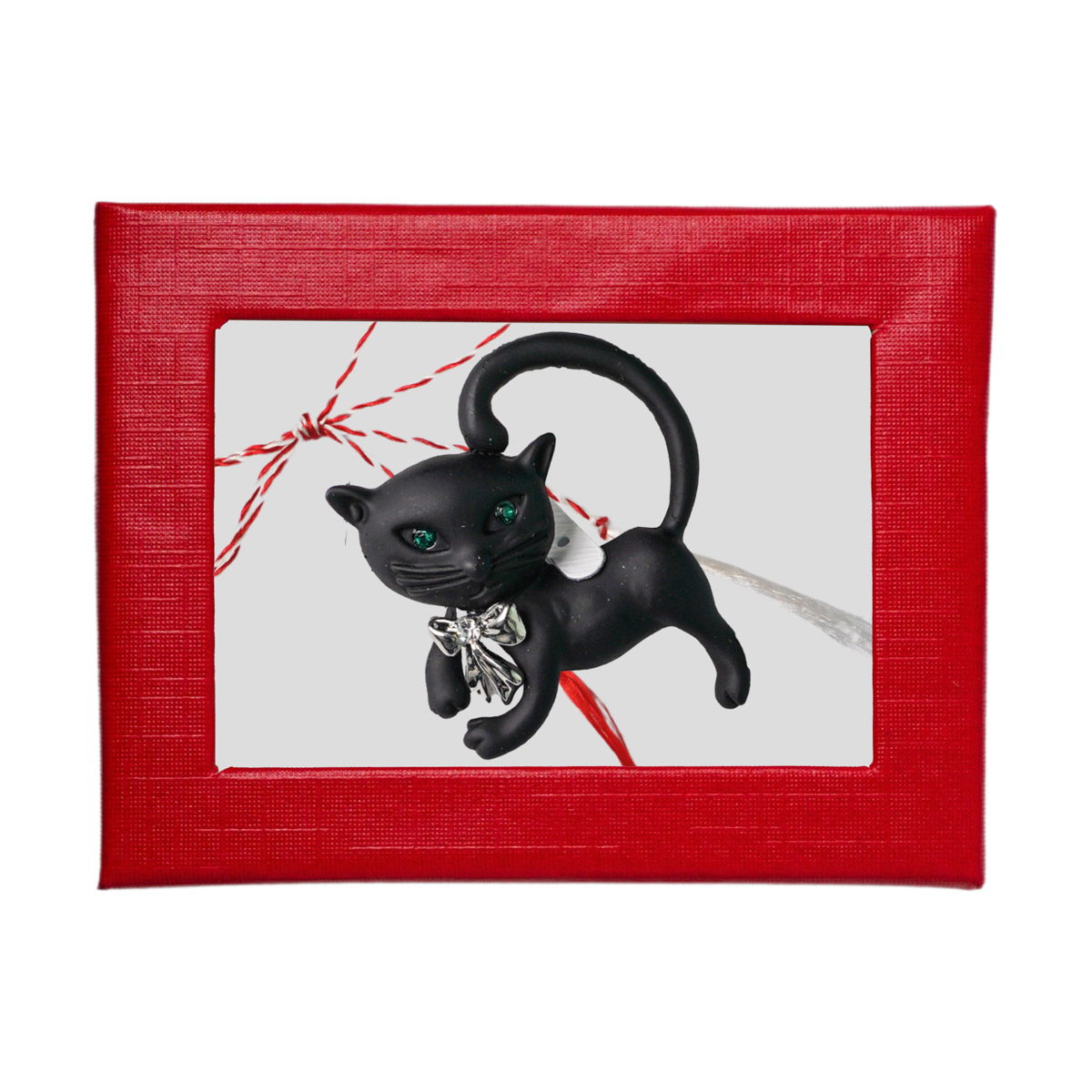 Brosa Pisica Neagra - CodNr. 334